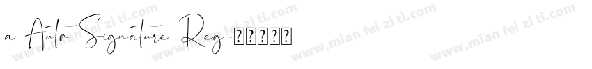 a Auto Signature Reg字体转换